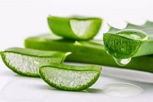 aloe na liečbu prostatitídy